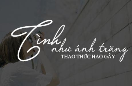 Download Typography photoshop miễn phí